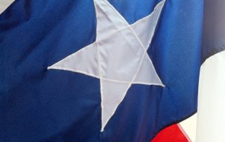 Texas flag by Frank Heinz
